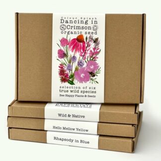 Dancing in Crimson - gift packs of organic seeds