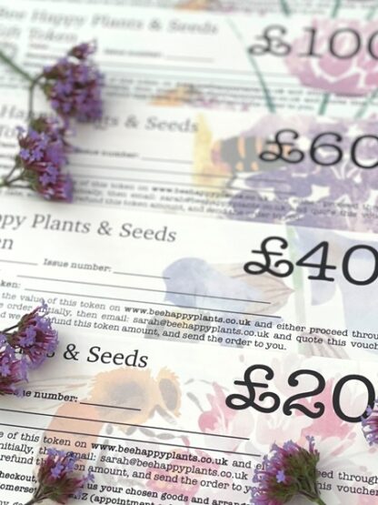 Bee Happy Plants & Seeds Gift Token